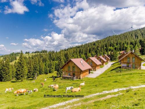 Frantschach-Sankt Gertraud House | Inviting Holiday Home in Weinebene with Sauna & Family Friendly