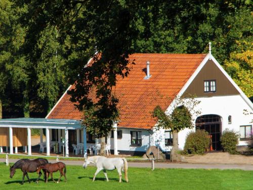 Ootmarsum Ski Chalet | Cozy Chalet with Gas Fireplace in Twente Holiday Park