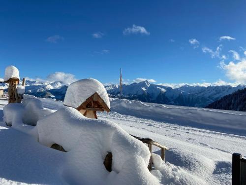 Zellberg Apartment | Cozy Retreat at Holiday Home Cuddly Nest - Pet Friendly Stay
