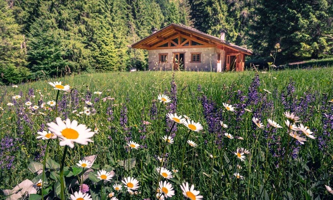 Ragoli House | Cozy Chalet Surrounded by Nature for 4 Guests