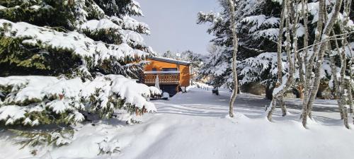 Pyrenees 2000 Ski Chalet | Experience Chalet La Cora: 4-Star Comfort by the Slopes