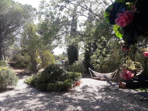 Fabrezan Ski Chalet | Tranquil Chalet with Pool and Ocean Views for Families