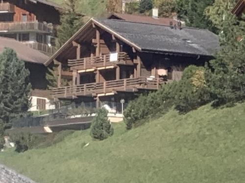 Hasliberg Wasserwendi Apartment | Guest Rated Chalet Orchis with Family-Friendly Amenities