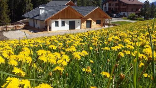 San Martino in Badia Ski Chalet | Chalet Soredl: Exceptional Stay with Hot Tub & Breakfast