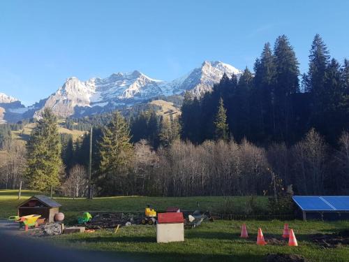 Adelboden Apartment | Chalet Wildbach: Family-Friendly Retreat with Pet Perks