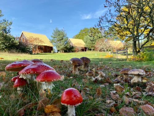 Ussel Resort | Cozy Country Chalet Near Ussel with Hot Tub & Pool