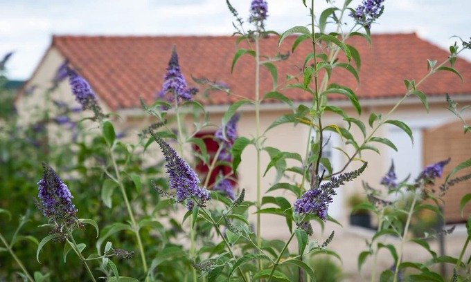 Fossemagne Cottage | Relaxing Gite Fossemagne with Spa and Breakfast Amenities