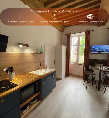 Paray-le-Monial Apartment | Chaleureux studio - Centre ville