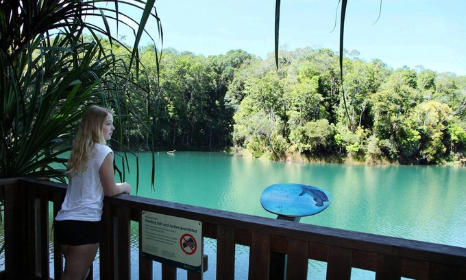 Lake Eacham Apartment | Explore Chambers Wildlife Rainforest Lodges with Ocean Views
