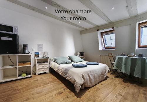 Colmar Centre Ville Hotel | Chambre - Centre historique - Equipée - Salle d'eau et WC privés