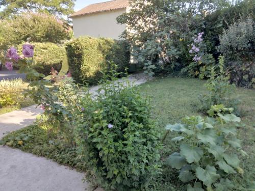 Perigueux Bed & Breakfast | Cozy Private Room with Oceanfront Views - Rated 8.9/10