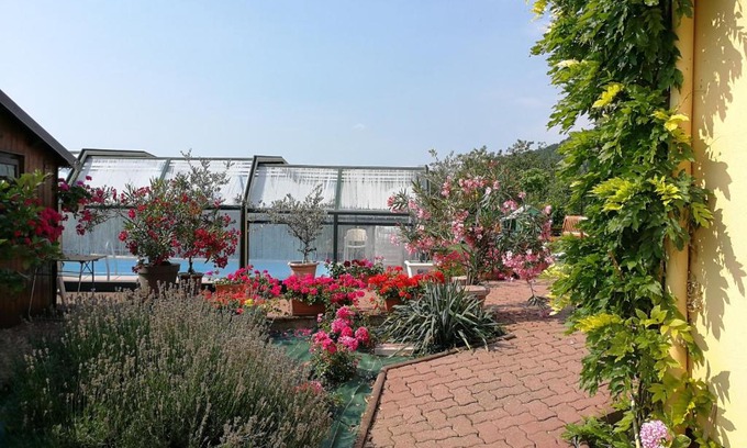 Mittelbergheim Bed & Breakfast | Cozy Chambre d'hôtes de la tulipe with Oceanfront Views