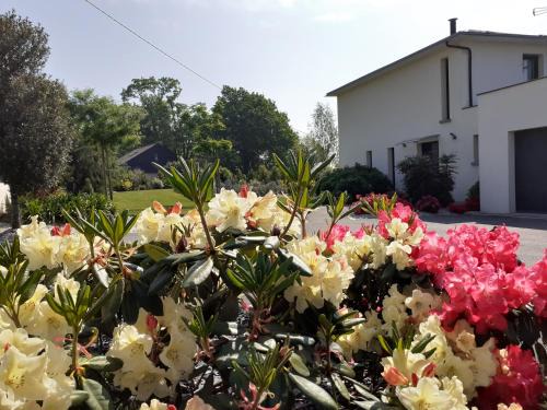 Bruc-sur-Aff Bed & Breakfast | Oceanfront Retreat at Chambre d'hôtes Les Bruyères