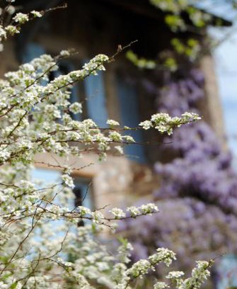 Trivy Bed & Breakfast | Unique Private Room: 20 Minutes from Cluny, Rated 9.3