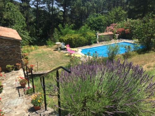 La Celle-sous-Gouzon Bed & Breakfast | Chambres d'hôtes B&B Le Chant des Pins en Cévennes