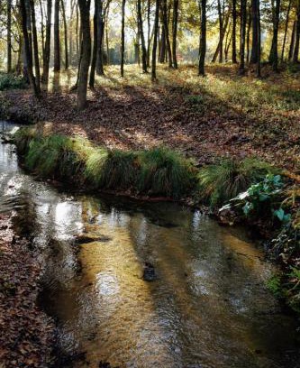 Pontonx-sur-l'Adour Bed & Breakfast | Family-Friendly Guesthouse in Pontonx - Rated 9.6/10