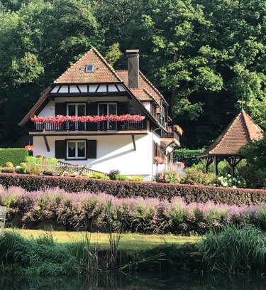 Andlau House | Guest Rated: 9.2 at Maison Efftermatten with Family Amenities
