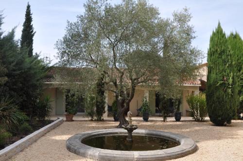 Malbosc Bed & Breakfast | Relaxing Retreat under the Olive Tree with Ocean Views
