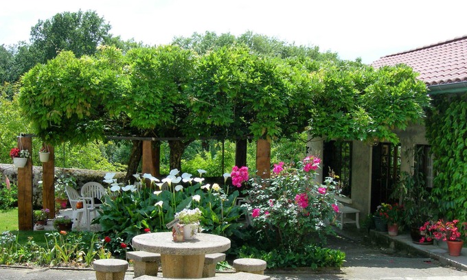 Mielan Bed & Breakfast | Chambres d'hôtes Sous la Glycine