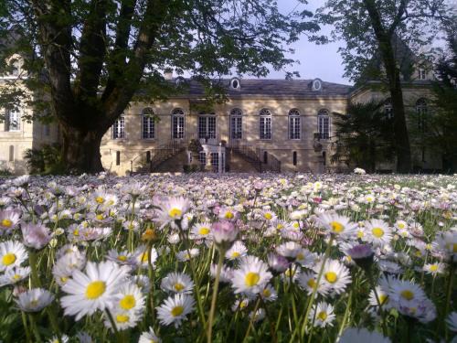 Podensac Bed & Breakfast | Oceanfront Retreat: Chambres d'Hotes La Chartreuse des Eyres