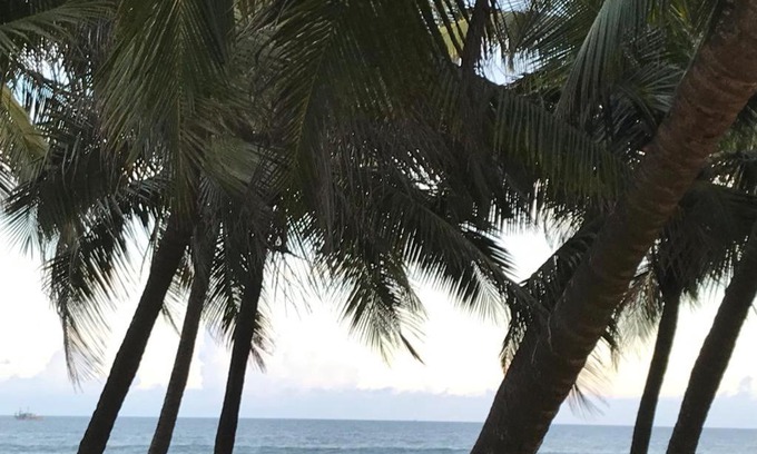 Kalapettai Resort | Relax at Chan Beach Resort with Pet-Friendly Amenities