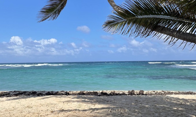 La Grande Princesse Condo | Discover L'Attitude: Beachfront Escape with Ocean Views
