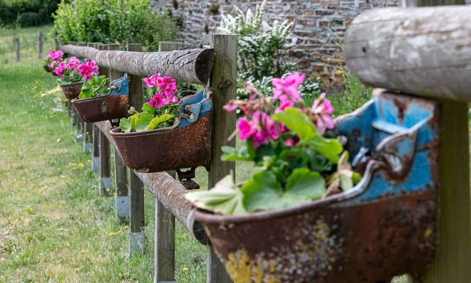 Halleux Bed & Breakfast | Experience Chanteloup, Maison D'hôtes - Halleux with Family