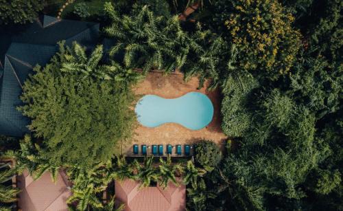 Moshi Hotel | Discover Comfort at Chanya Lodge with Pool & Breakfast