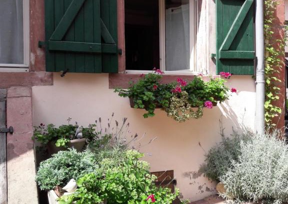 Bouxwiller Apartment | Cozy Apartment in Alsace - Pet and Child Friendly Retreat