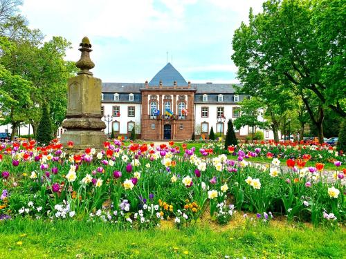 Haguenau Apartment | Cozy Studio in Haguenau, Just 25 Minutes from Strasbourg