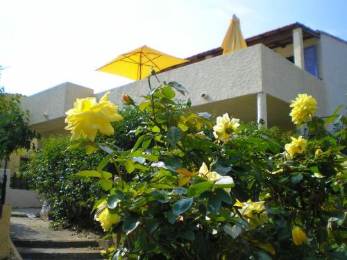 Bravone Apartment | Cozy Studio with Terrace Near Linguizzetta Beach