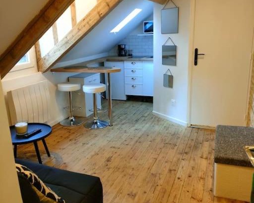 Haie Vigne Apartment | Comfortable Studio Hypercentre CAEN with Family & Pet Amenities