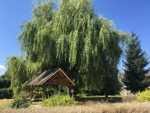 Saint-Pierre-le-Moutier Apartment | Welcoming T2 Retreat with Park Setting, Pet & Child Friendly