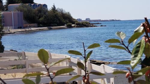 Balaruc-les-Bains Apartment | Oceanfront T2 with Hot Tub and Ocean View - Guest Rated 7.9