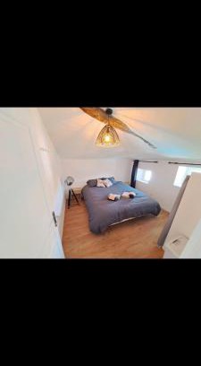 Lisle-sur-Tarn Apartment | Charmant T2 tout confort, à deux pas du centre