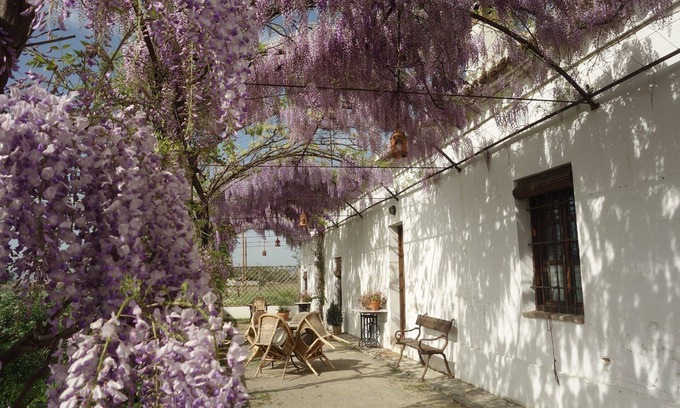 Tozar Cottage | Idyllic Rural Retreat with Pool Near Granada – Guest Rated 9.8