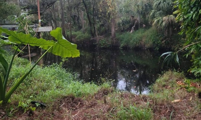Anclote River Acres House | Cozy 2-Bedroom Retreat with Pool and Wildlife Access