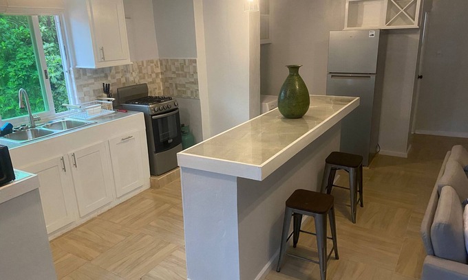 Corinthe Apartment | Charming 2-bedroom apartment in gorgeous Grande Riviere with AC, WiFi