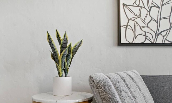 Budlong Woods Apartment | Modern 2BR Apartment in Lincoln Square, Steps from Shops