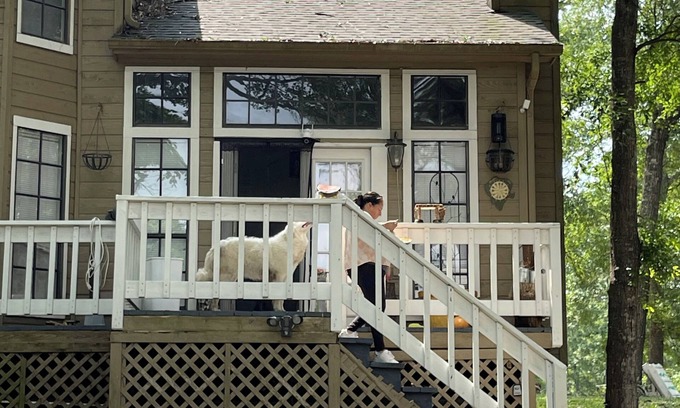 Oakhurst House | Charming 3-bedroom country house in wonderful Huntsville with AC.