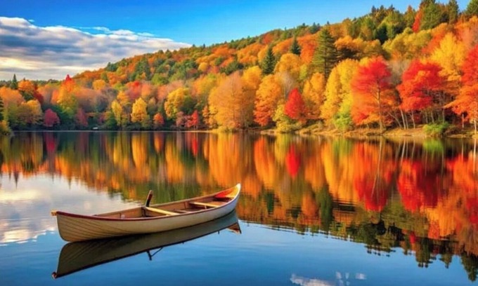 Otis House | Scenic Lakefront Retreat Near Bar Harbor with Pet-Friendly Perks