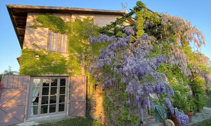 Ferrere Apartment | Cozy Apartment in Monferrato Countryside Near Turin
