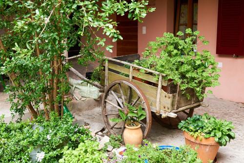 Meride Bed & Breakfast | Inviting B&B with Oceanfront Dining at La Crisalide