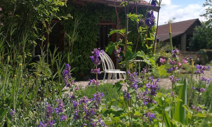 Montcony Bed & Breakfast | Idyllic Room "Vers la cour" with Pool & Spa Retreat