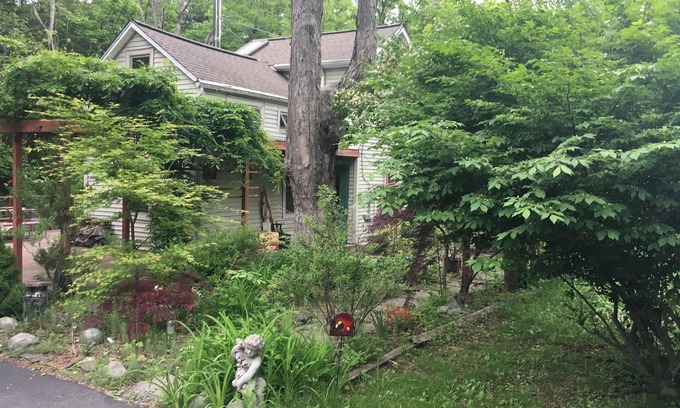 Kingston House | Cozy Woodstock House: Pet-Friendly with Breakfast Included