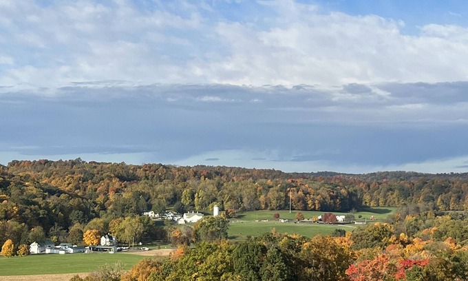 Lucas Cottage | Cozy Cottage Retreat Near Malabar Farm & Pleasant Hill Lake