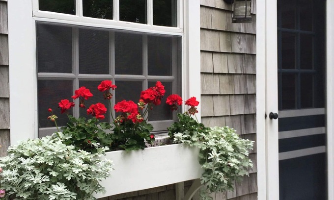 Nantucket Town House | Tranquil Cottage on Lily Pond with Oceanfront Views