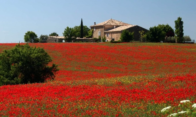 Valensole Other | Inviting Cottage with Pool and Spa - Guest Rated 9.8/10
