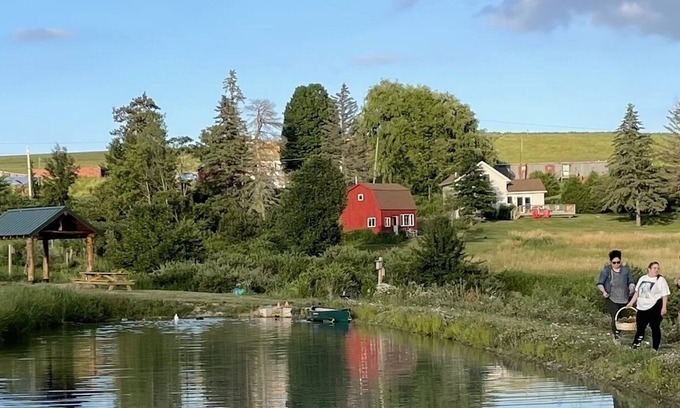 Corning Other | Idyllic Country Farm Stay with Breakfast & Breathtaking Views