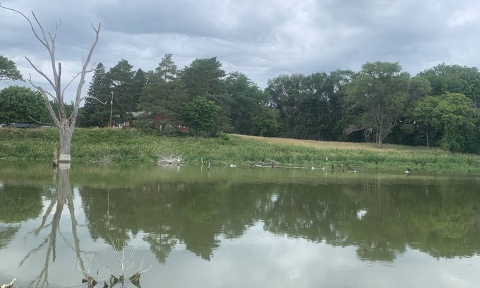 Richland County Cabin | Scenic Retreat at The Pond House - Pet and Child Friendly